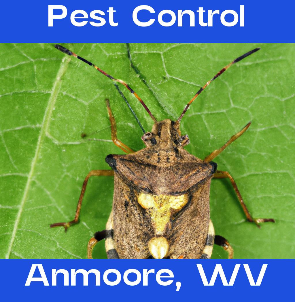 pest control in Anmoore West Virginia