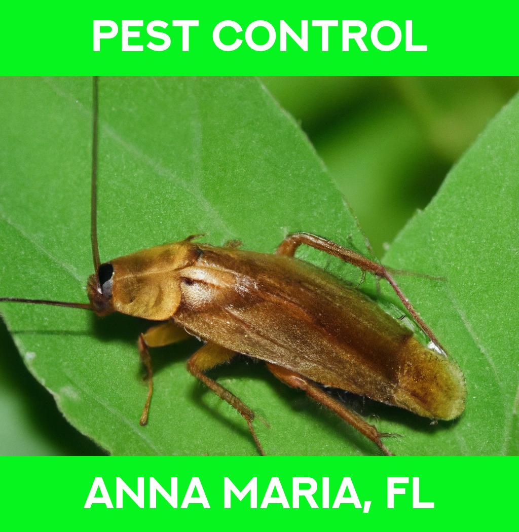 pest control in Anna Maria Florida