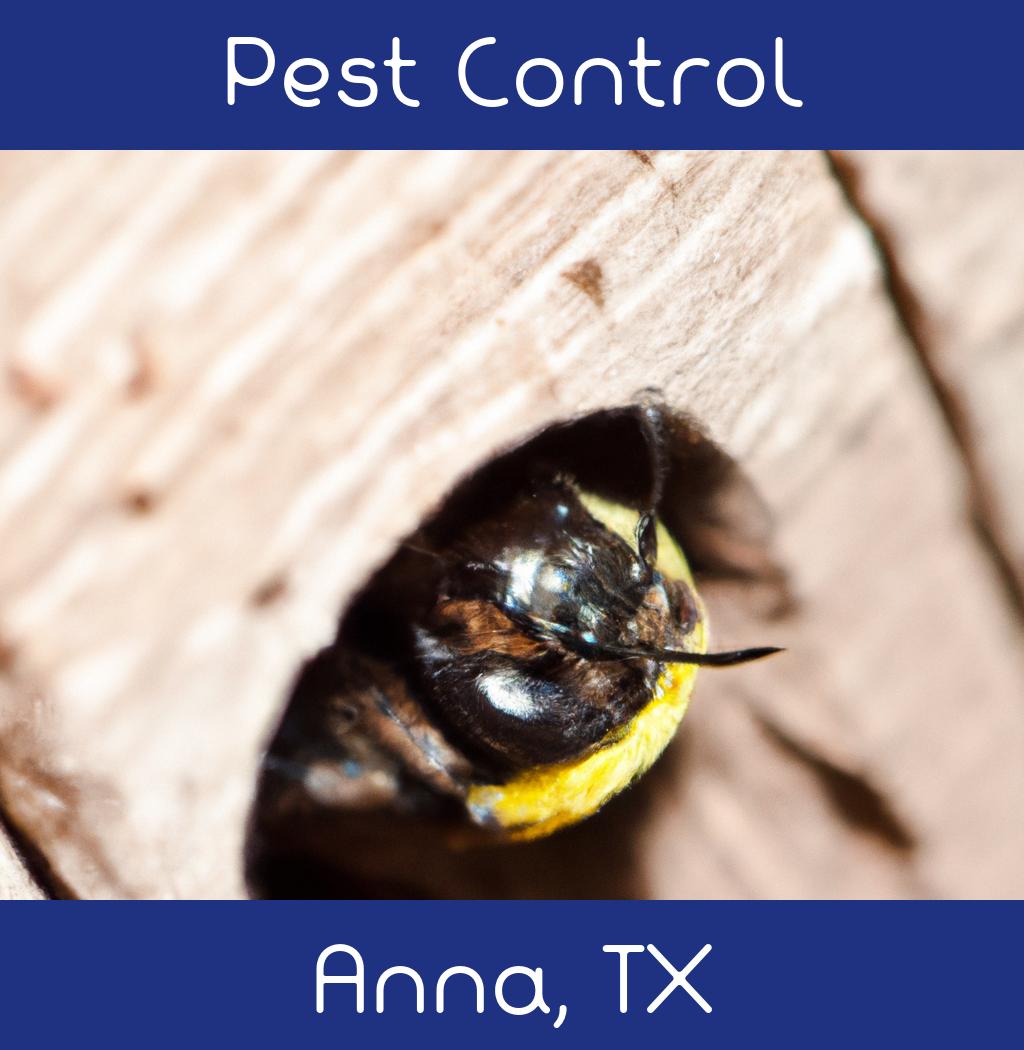 pest control in Anna Texas