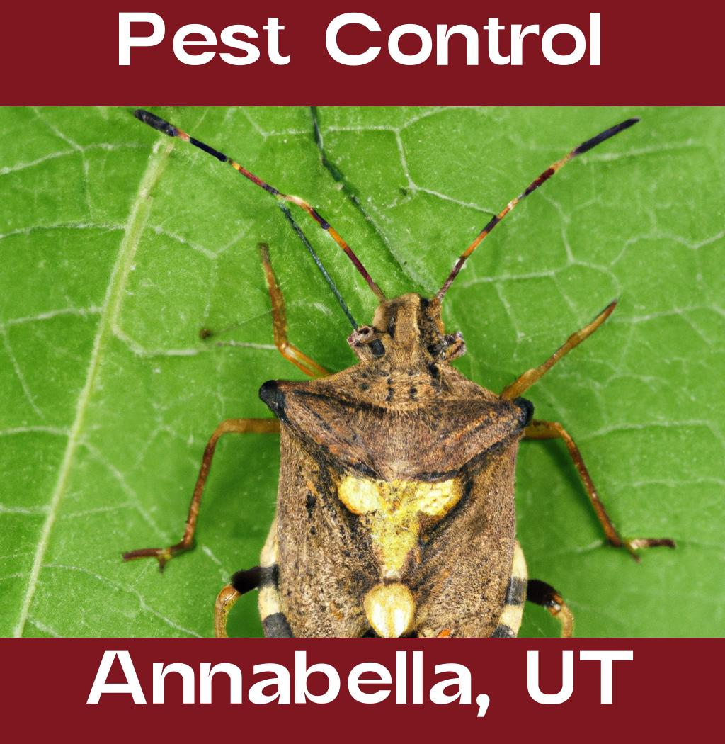 pest control in Annabella Utah
