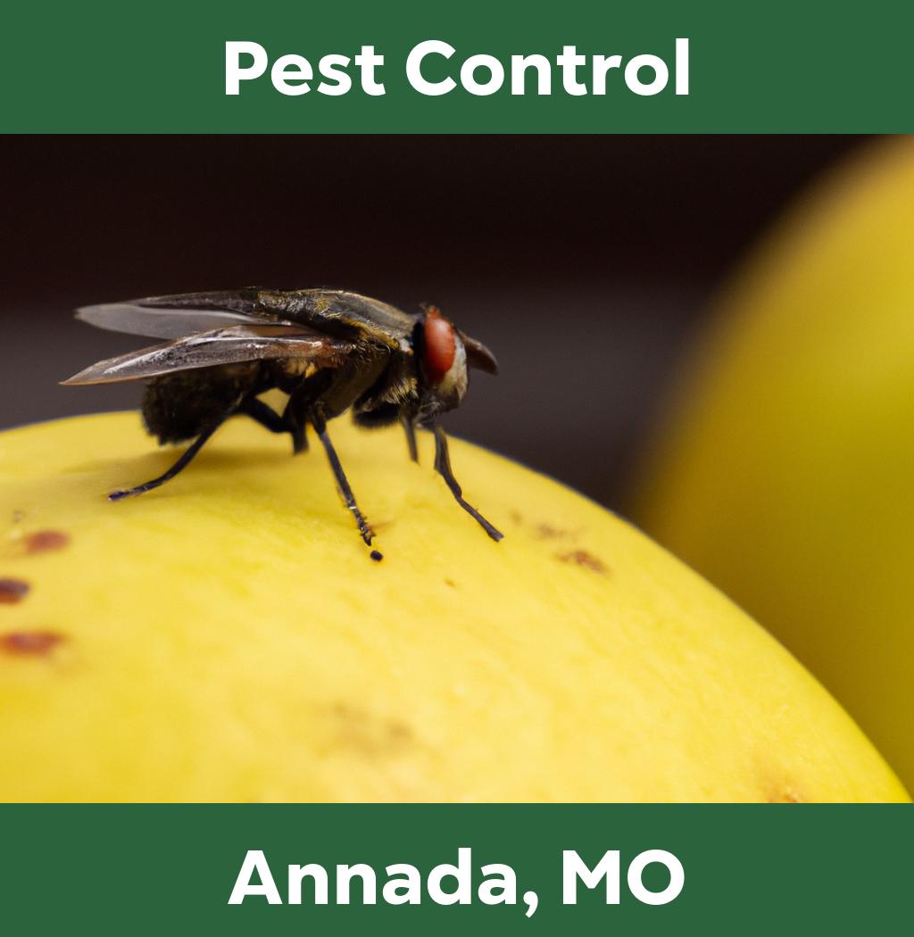 pest control in Annada Missouri