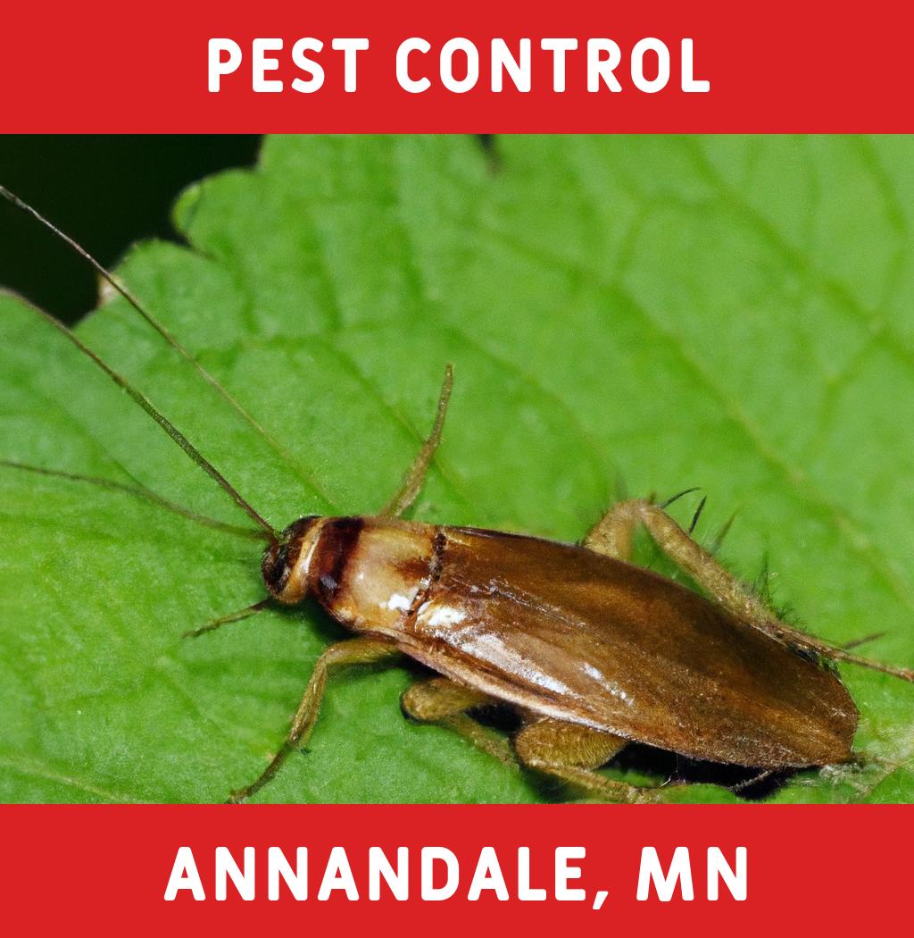 pest control in Annandale Minnesota