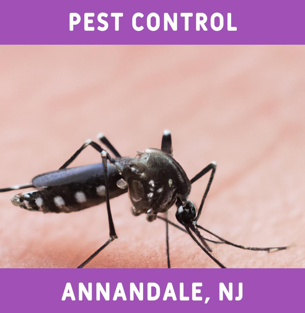 pest control in Annandale New Jersey