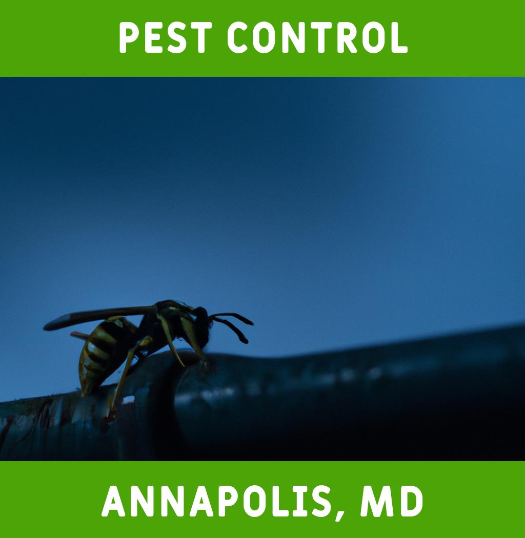 pest control in Annapolis Maryland