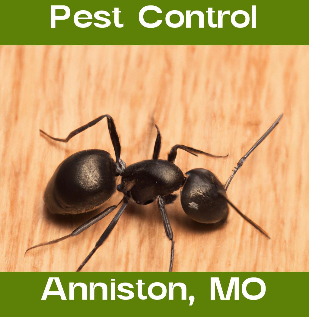 pest control in Anniston Missouri