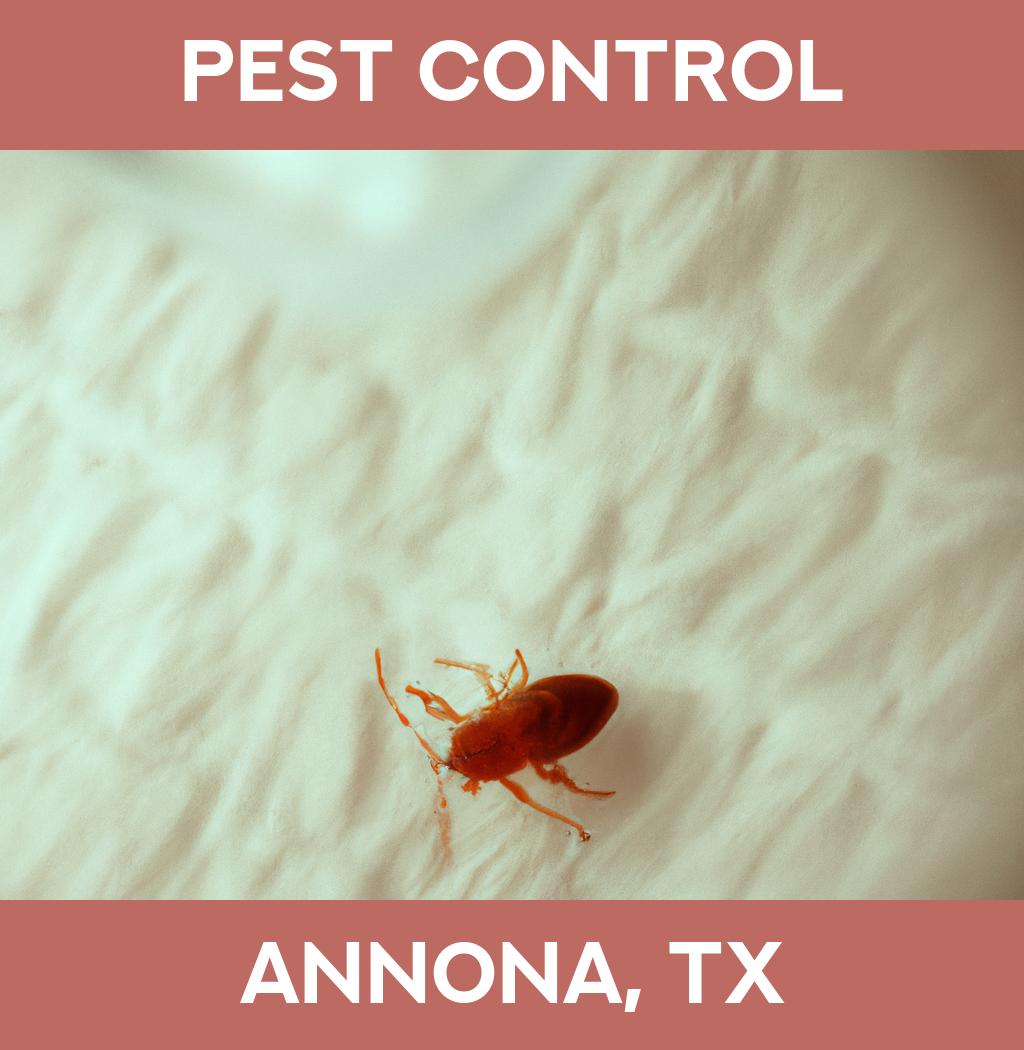 pest control in Annona Texas