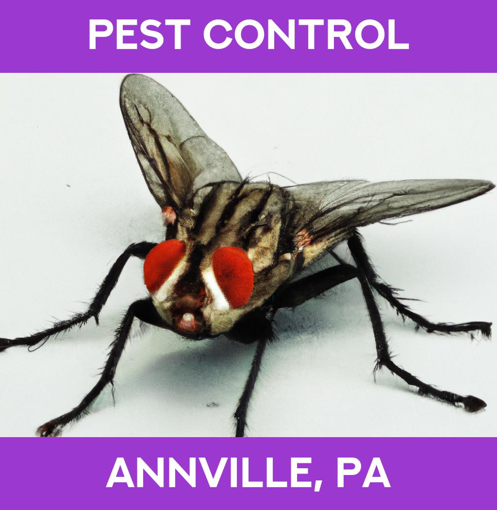 pest control in Annville Pennsylvania