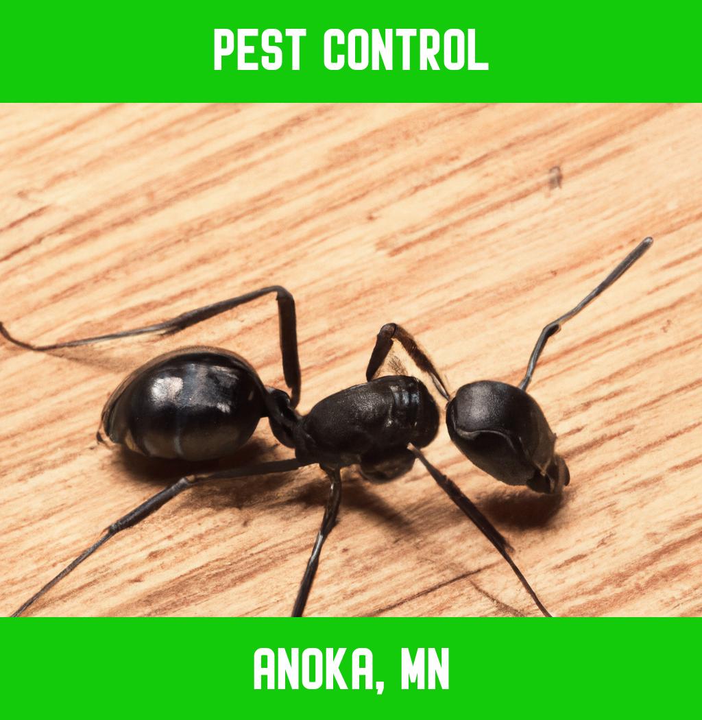 pest control in Anoka Minnesota