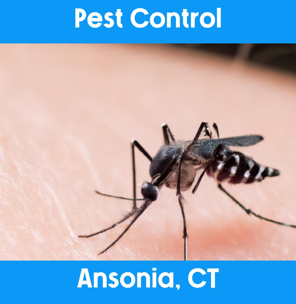 pest control in Ansonia Connecticut
