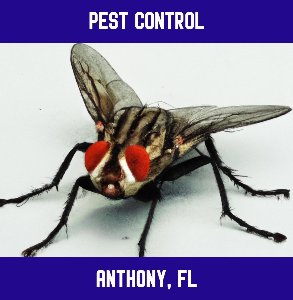 pest control in Anthony Florida