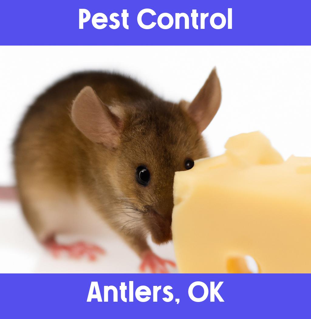 pest control in Antlers Oklahoma