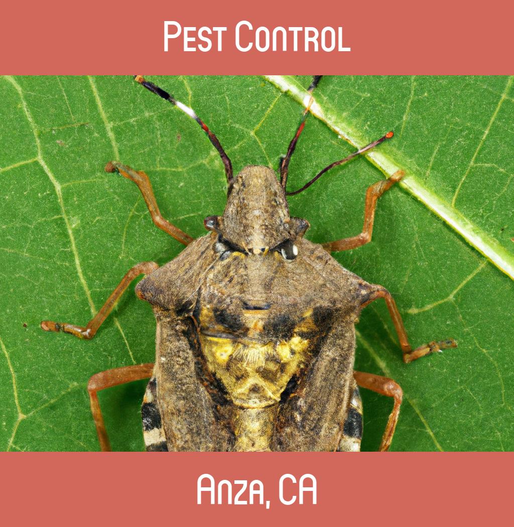 pest control in Anza California