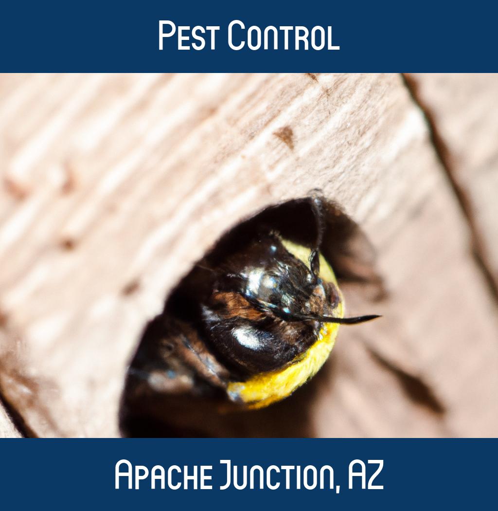 pest control in Apache Junction Arizona