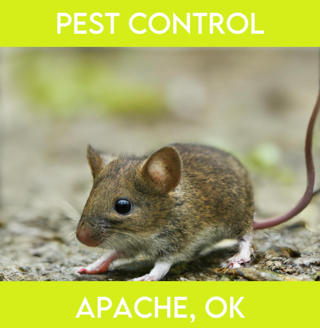 pest control in Apache Oklahoma