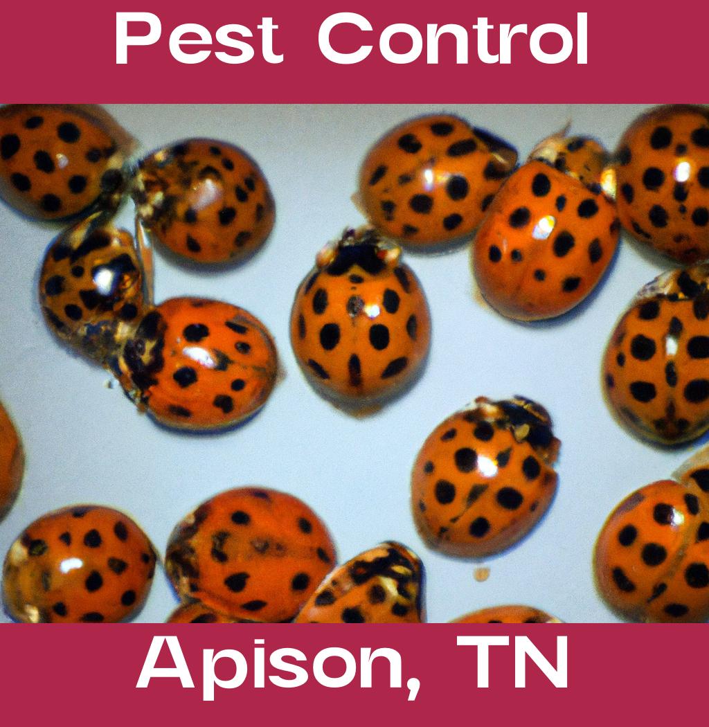 pest control in Apison Tennessee