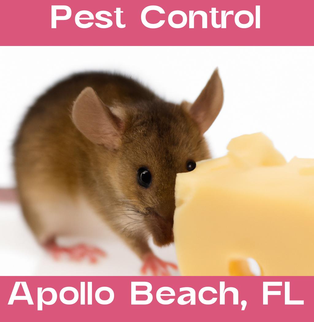 pest control in Apollo Beach Florida