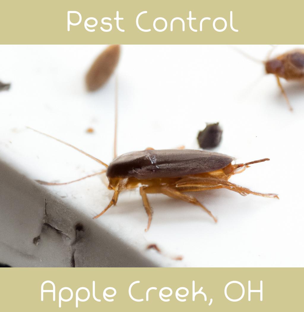 pest control in Apple Creek Ohio