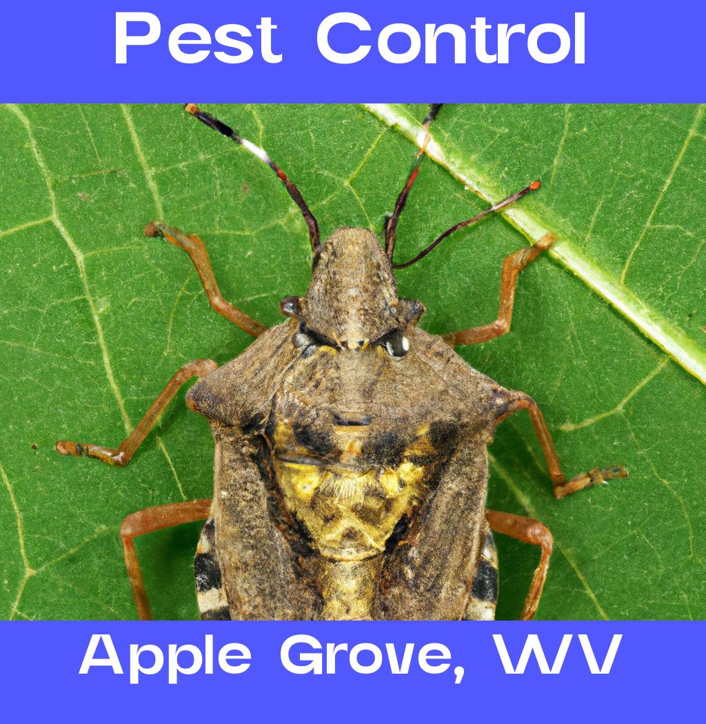 pest control in Apple Grove West Virginia