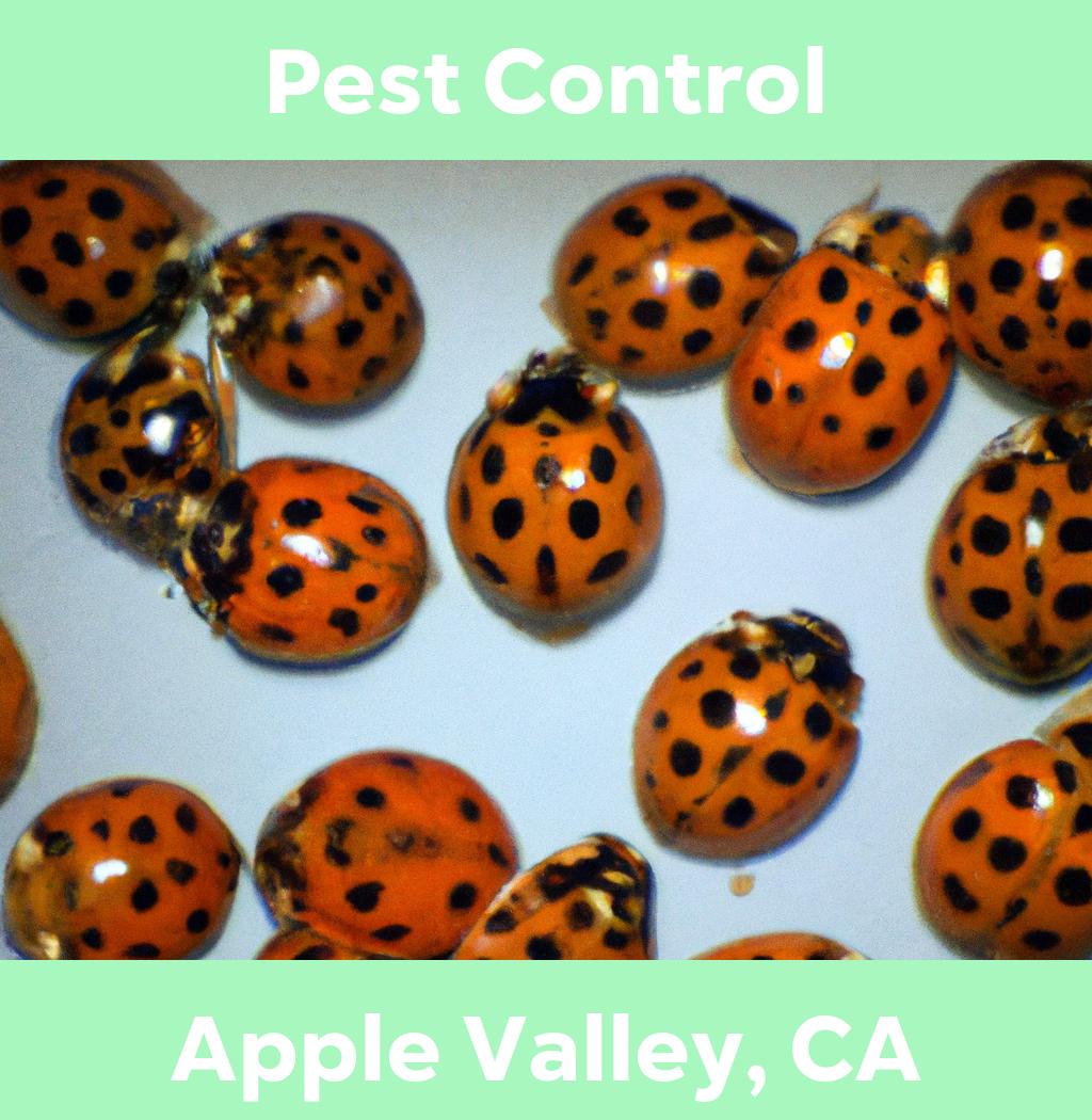 pest control in Apple Valley California