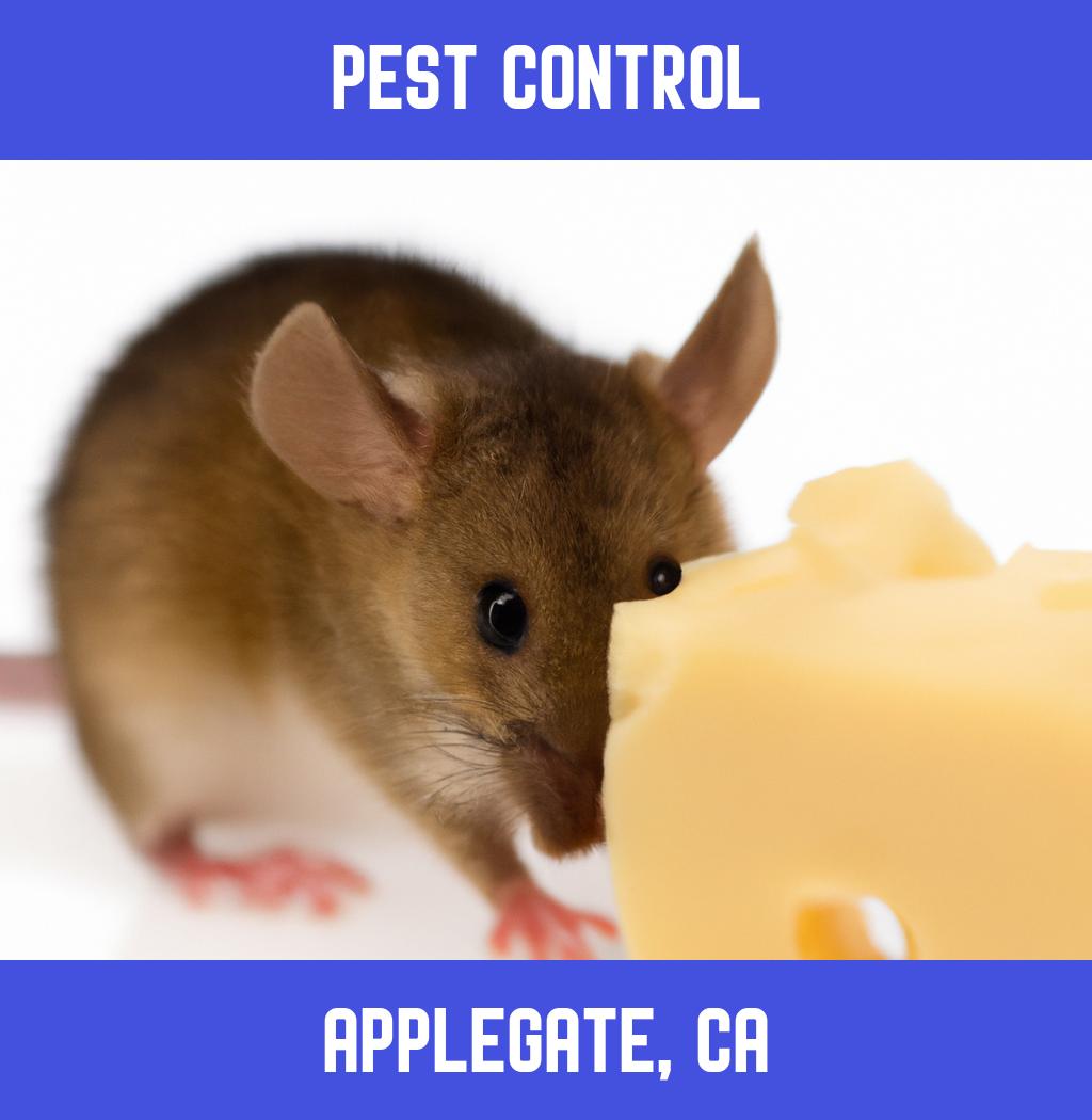 pest control in Applegate California