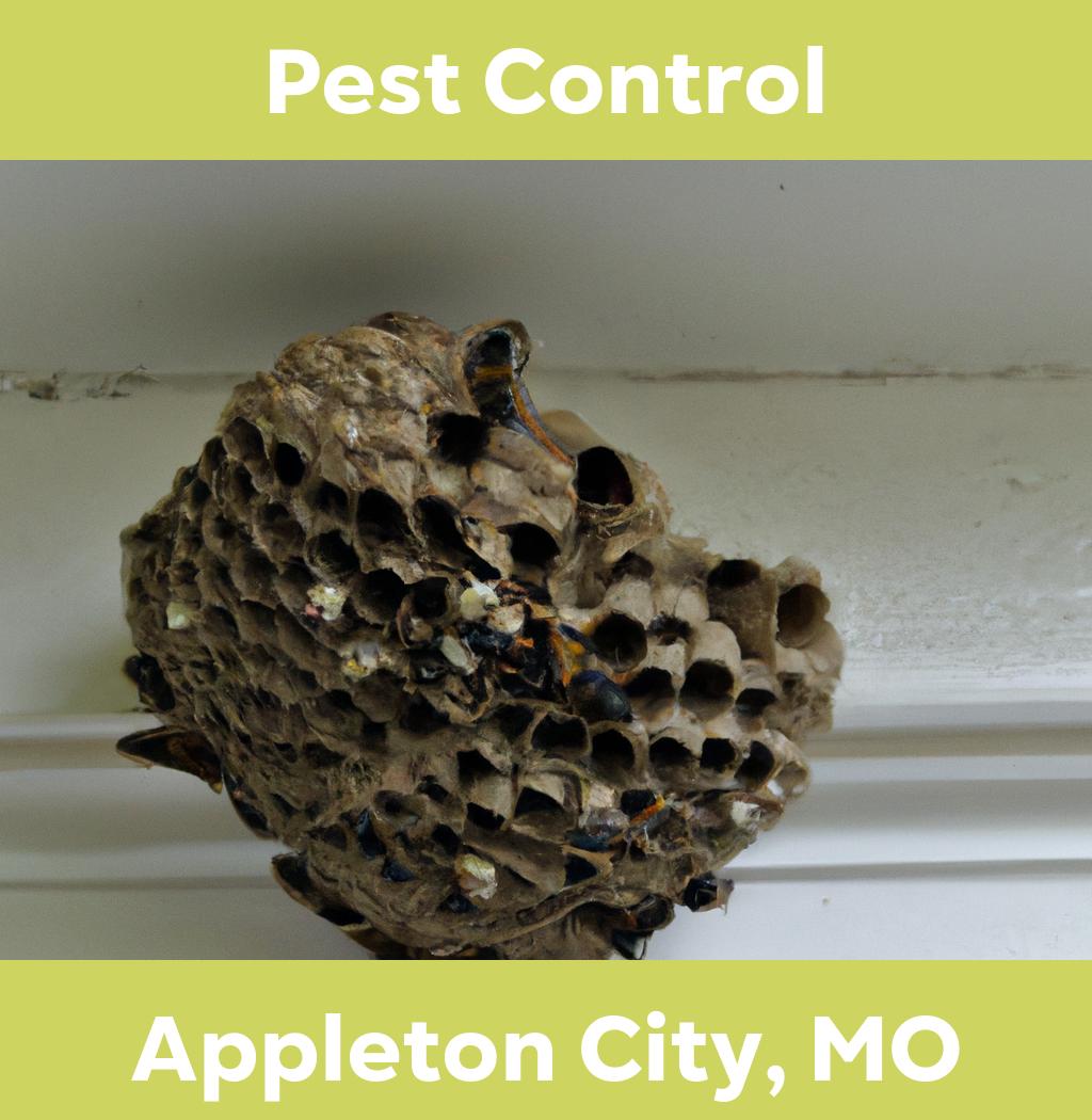 pest control in Appleton City Missouri