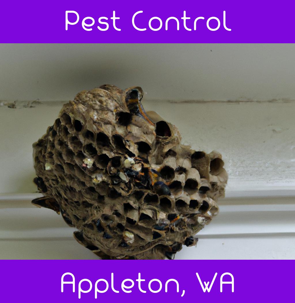 pest control in Appleton Washington