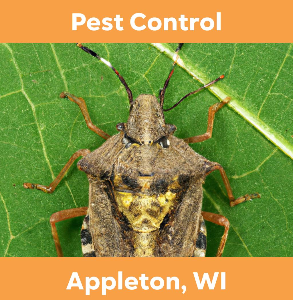 pest control in Appleton Wisconsin