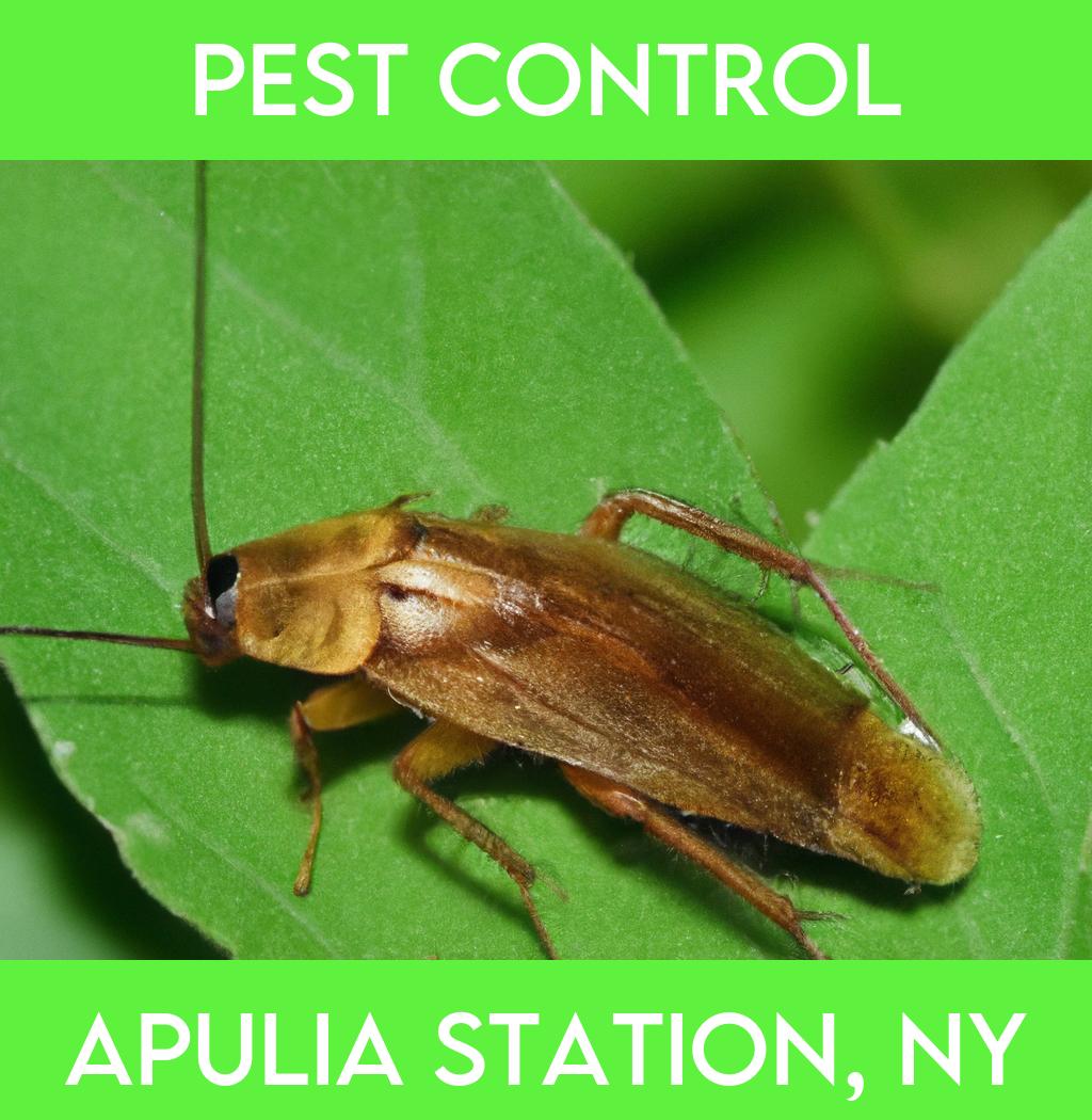 pest control in Apulia Station New York