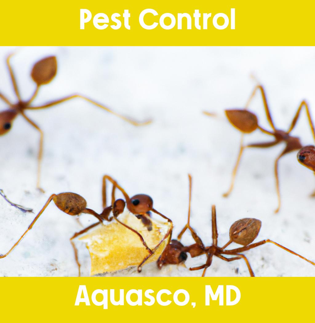 pest control in Aquasco Maryland