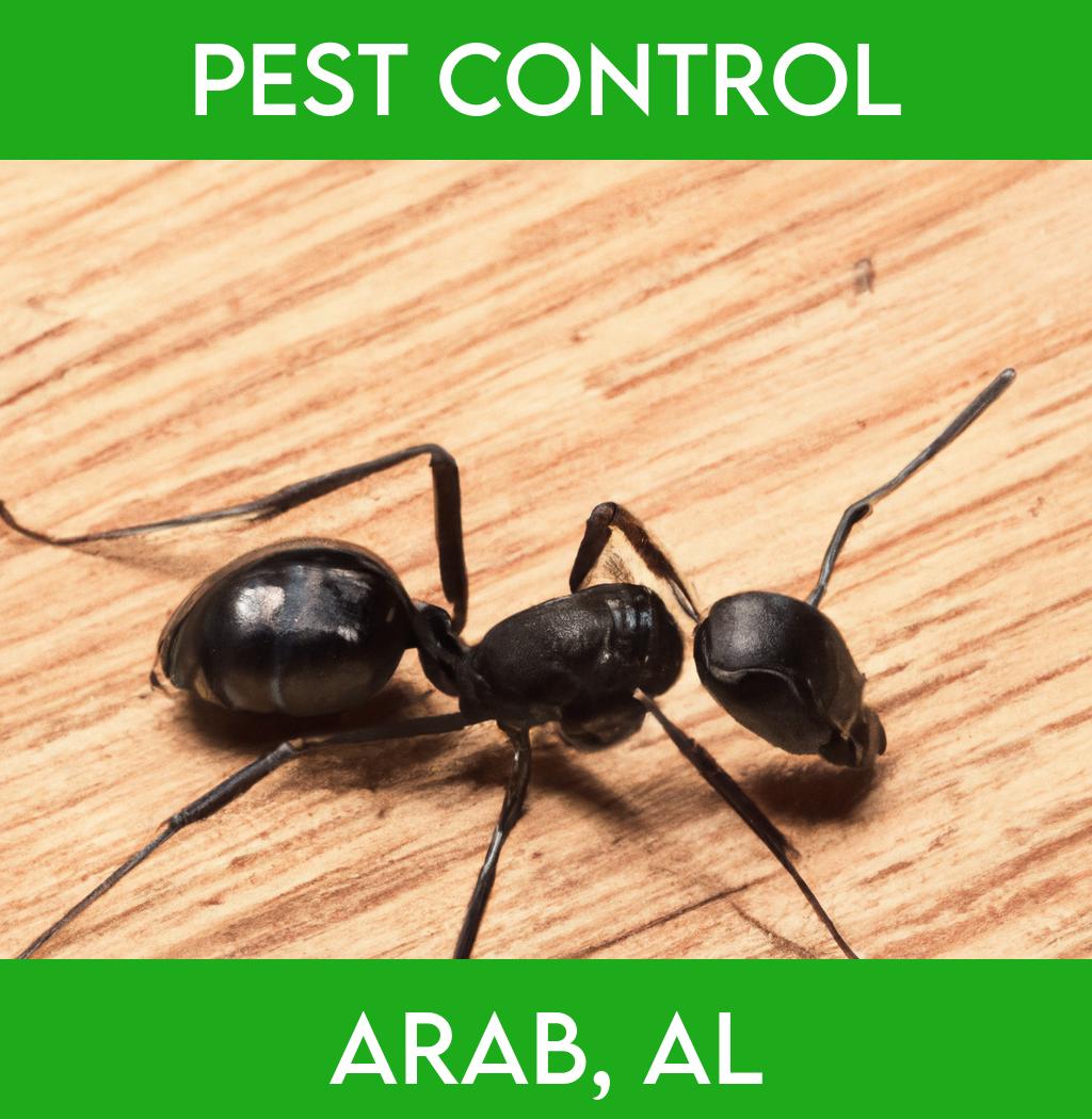 pest control in Arab Alabama