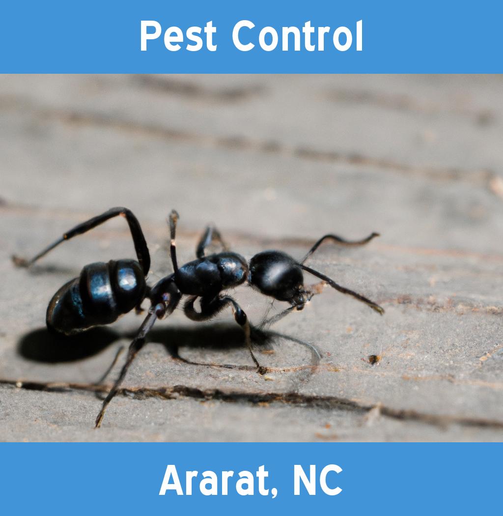 pest control in Ararat North Carolina