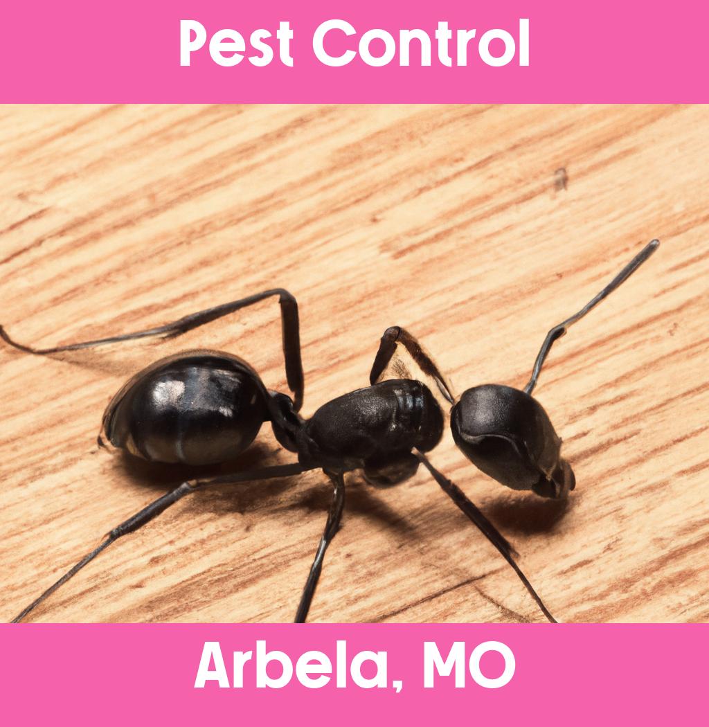 pest control in Arbela Missouri