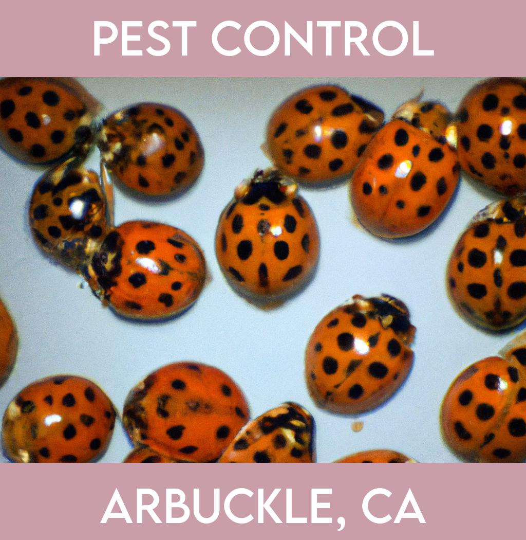 pest control in Arbuckle California