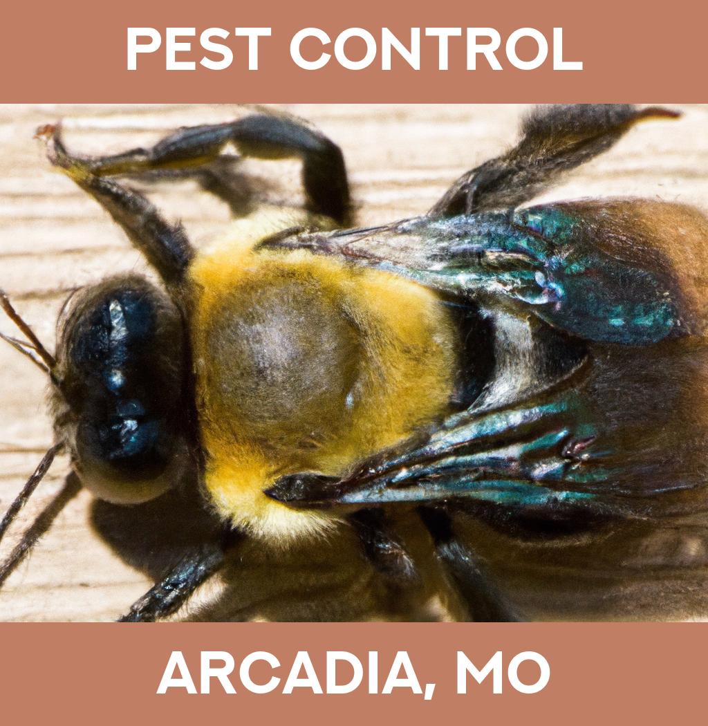 pest control in Arcadia Missouri