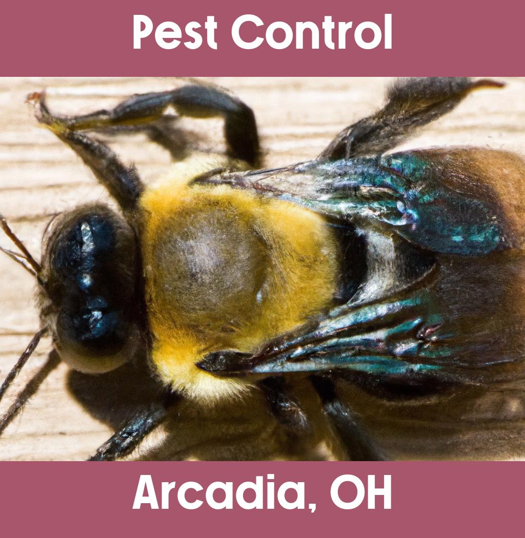 pest control in Arcadia Ohio