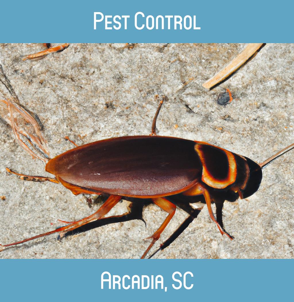 pest control in Arcadia South Carolina