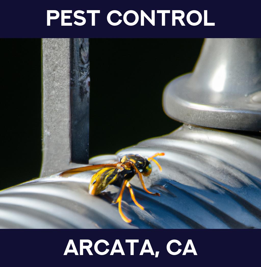 pest control in Arcata California
