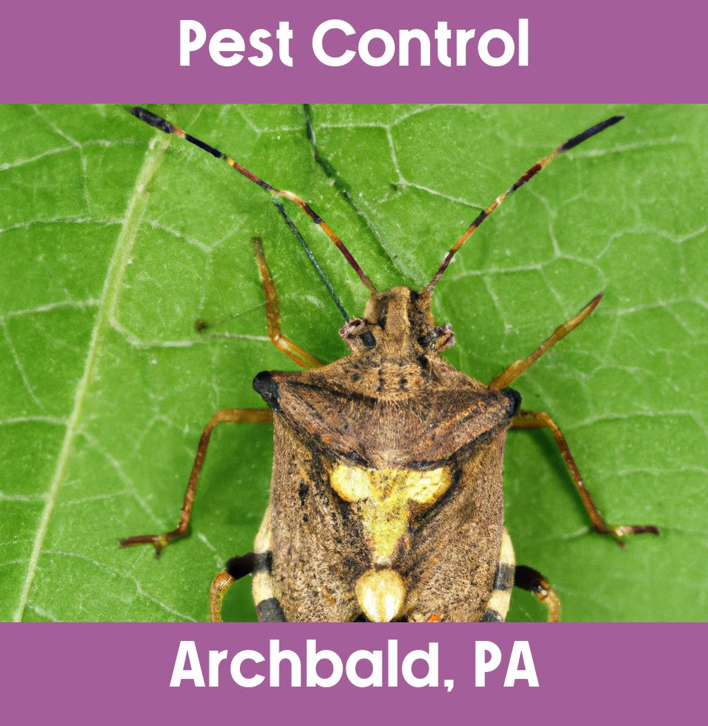pest control in Archbald Pennsylvania