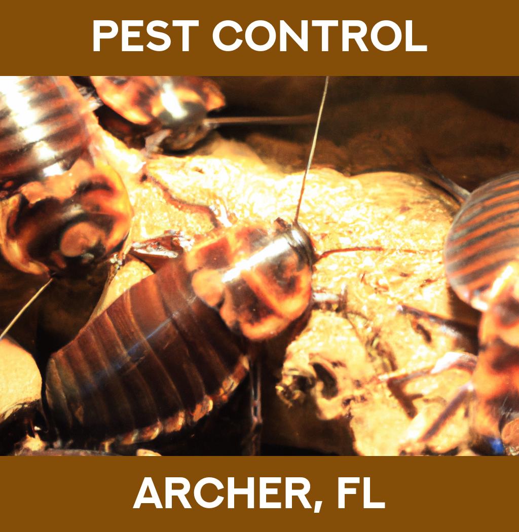 pest control in Archer Florida