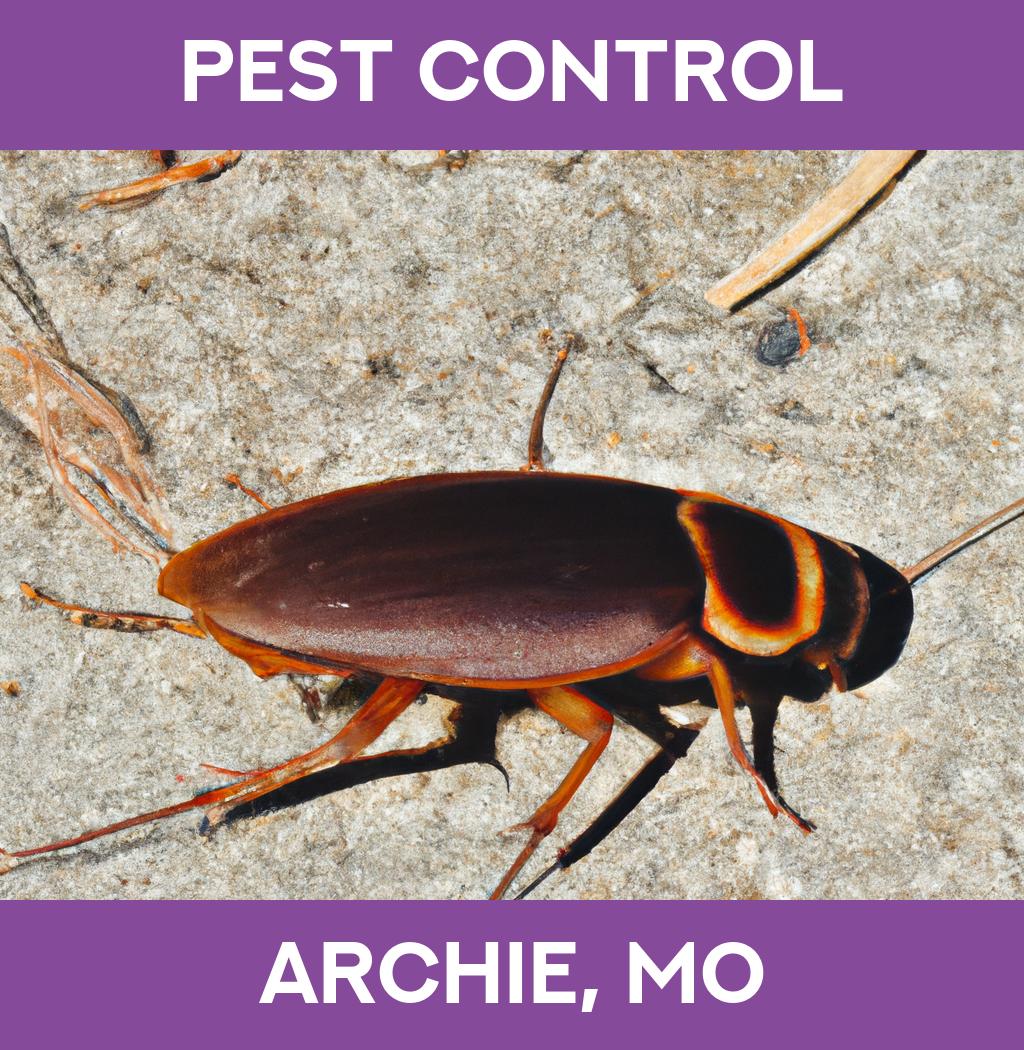 pest control in Archie Missouri