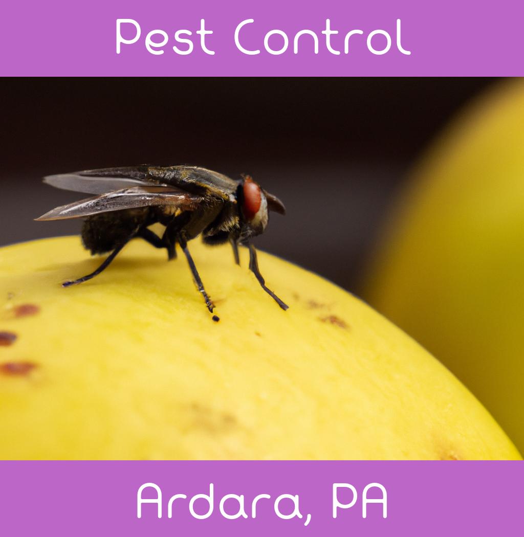 pest control in Ardara Pennsylvania