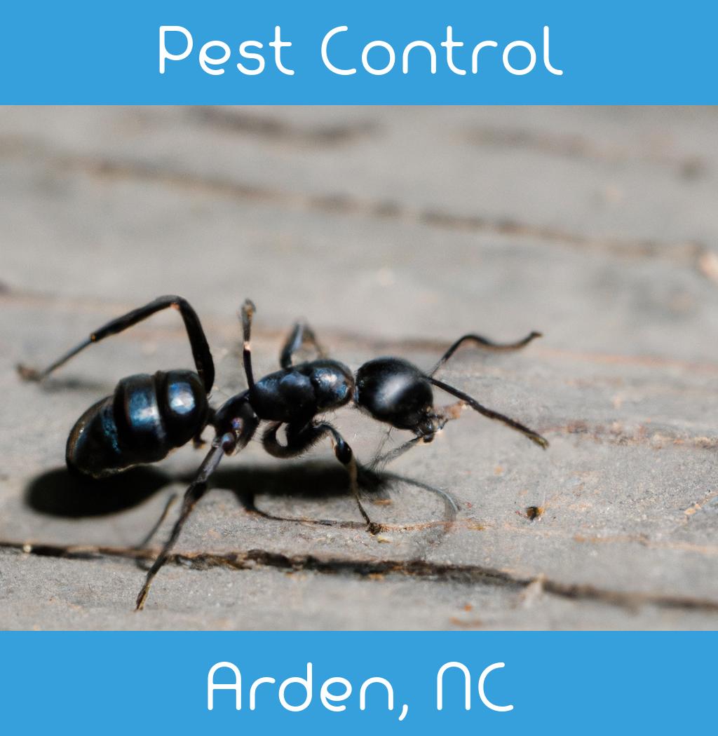pest control in Arden North Carolina