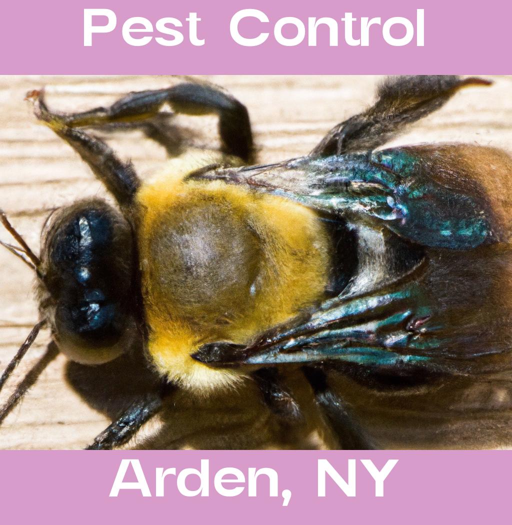 pest control in Arden New York