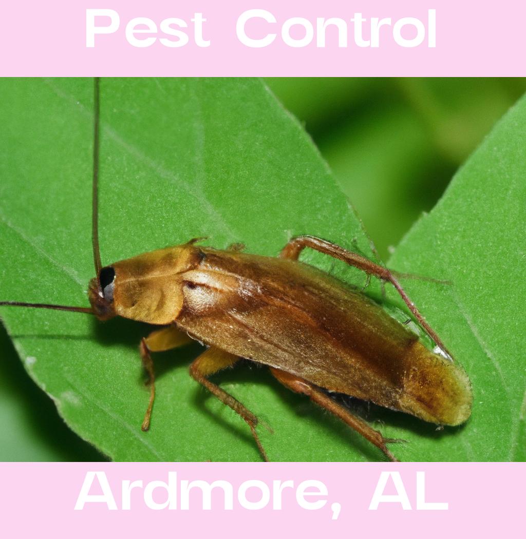 pest control in Ardmore Alabama