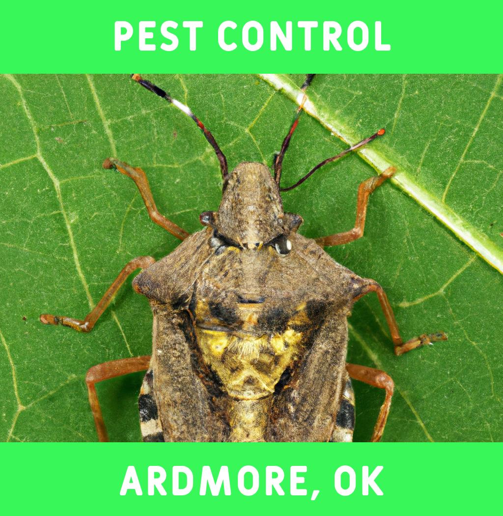 pest control in Ardmore Oklahoma