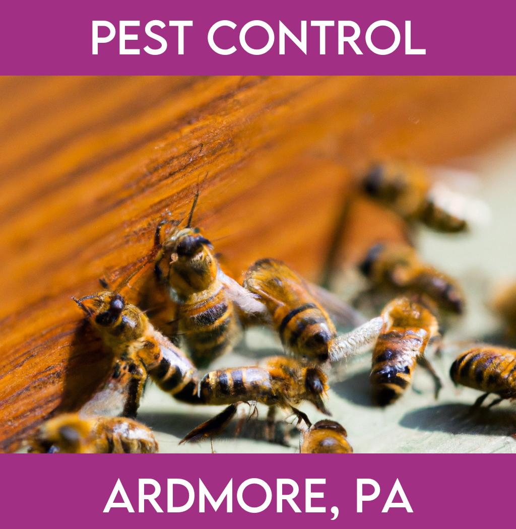 pest control in Ardmore Pennsylvania