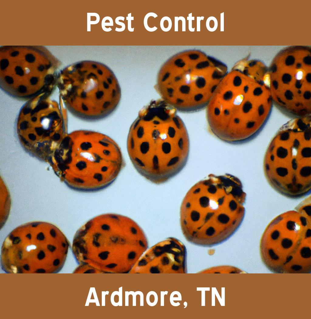 pest control in Ardmore Tennessee