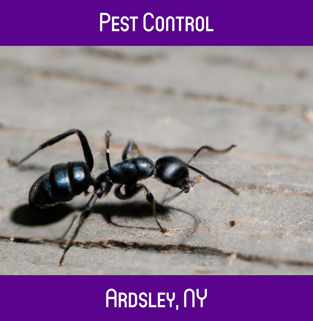 pest control in Ardsley New York