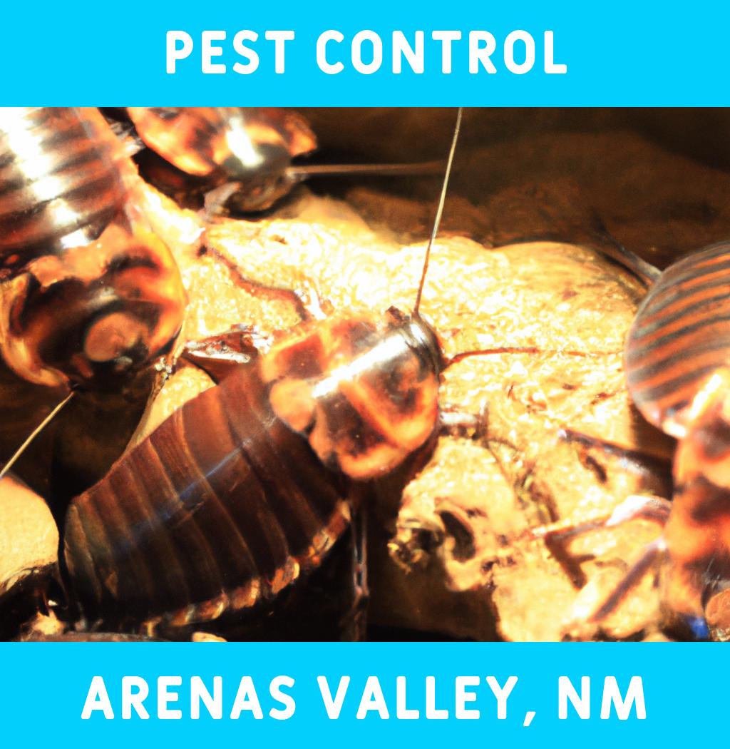 pest control in Arenas Valley New Mexico