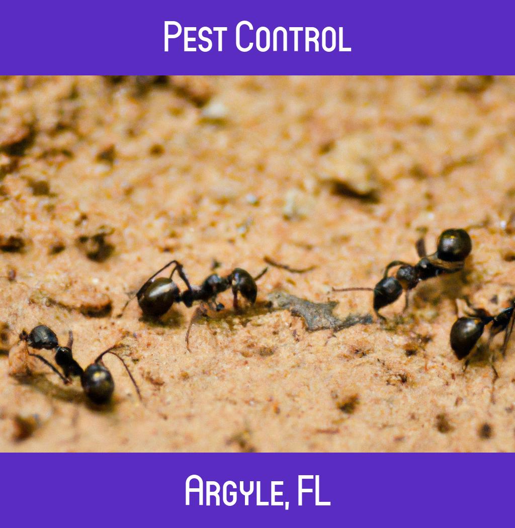 pest control in Argyle Florida